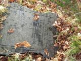 image of grave number 758302